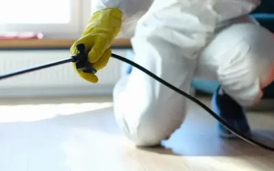 Dedetização BH: o que fazer quando um morador relata uma infestação dentro do condomínio?