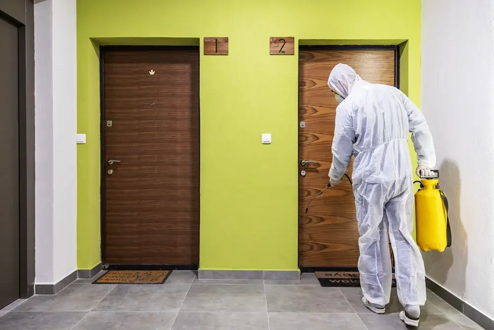 Dedetização BH: o que fazer quando um morador relata uma infestação dentro do condomínio?